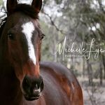 MichelleLyephotography - @michellelyephotography - Instagram