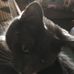 Michelle Lytle - Facebook