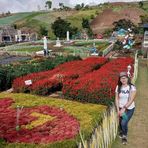 Michelle Nuyad Malik - Facebook