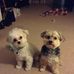 Michele Mance - Facebook