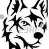 Michelle Mangano - @michieanimals021520 - TikTok