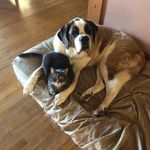 Michelle Manno - @michmanno - Instagram