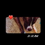 Meshelle Marlin - Facebook