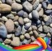 Michele Markstrom-Frisch - Facebook