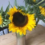 Michelle Marney - @marngate - Instagram