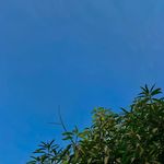 Michelle matherly - @m.matherly09 - Instagram