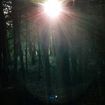 Michelle Mattson - @mmattson76 - Instagram