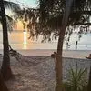 Michelle Mauger - @michelle.mauger - TikTok
