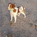 Michelle Maxfield - Facebook