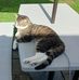 Michelle Maxfield - Facebook