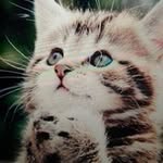 Michelle Maxien - @michellemaxien - Instagram