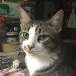 Michelle L. Maxson - @m_sumpthin - Instagram