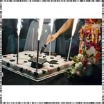 Erika Fetzer - @michellemayoralugr - Instagram