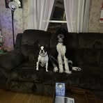 Michelle McAfee - Facebook