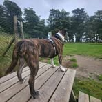 Michelle Mcalpine - Facebook