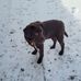 Michelle McAulay - Facebook