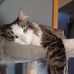 Michelle McClish - Facebook