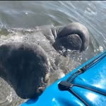Michelle McCourt - @m.mccourt - Instagram