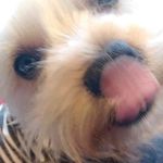 Michelle McCready - @mmccready1967 - Instagram