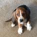 Michelle Mcdavid - Facebook