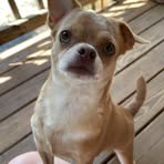 Michelle McEachern - Facebook