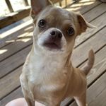 Michelle McEachern - @minnesota63 - Instagram