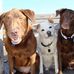 Michelle McElligott - Facebook