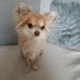 Michelle Mcelligott - Facebook