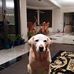 Michelle McGrath - Facebook