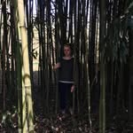 Michelle - @melnik.michelle11 - Instagram