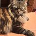 Michelle Melvin - Facebook