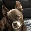 michellemelvin470 - @michellemelvin470 - TikTok