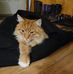 Michele Mengel Dolecek - Facebook