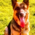 Michele Mentzer - @mentzer6448 - Instagram
