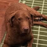 Michele Mentzer Grant - @_micheleg711 - Instagram