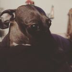 Michelle Milburn - @michelle.milburn.338 - Instagram