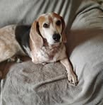 Michelle Miller - Facebook