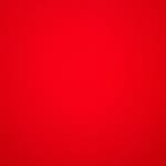 Michellemilone - @michellepellegrino3732 - Instagram