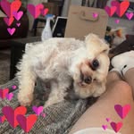 Michelle Estes-Mintz - @mmintz1215 - Instagram