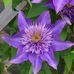 Michelle Moats - Facebook