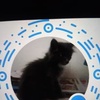 Michelle Moreau - @michellemoreau5 - TikTok