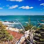 Michelle Moreau - @michelle.moreau.731 - Instagram