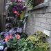 Michele Morley - Facebook