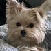Michelle Bruno Mort - Facebook