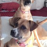 Michelle Mostoller - @mmost16 - Instagram