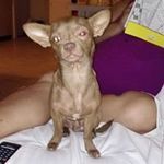 michelle mote - @cmm41974 - Instagram