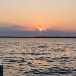 Michelle Abbey Nardone - @michellenardone0924 - Instagram