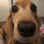 Michelle Nathan - @chellster - Instagram