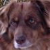 Michele Neider - Facebook