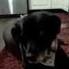 Michelle Neil - @michelle.neil0 - TikTok